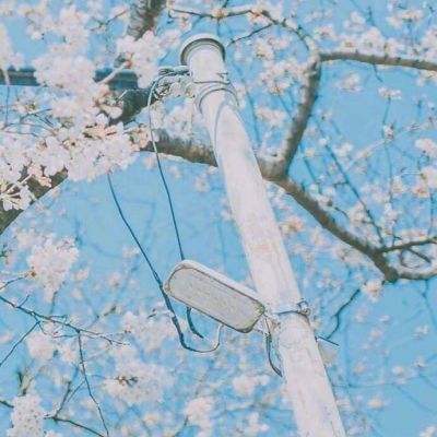高价值订单倍增！激光“黑马”何...
